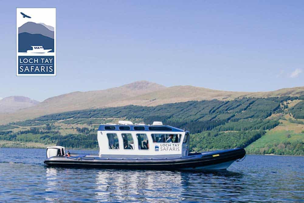 local-activities-loch-tay-safaris