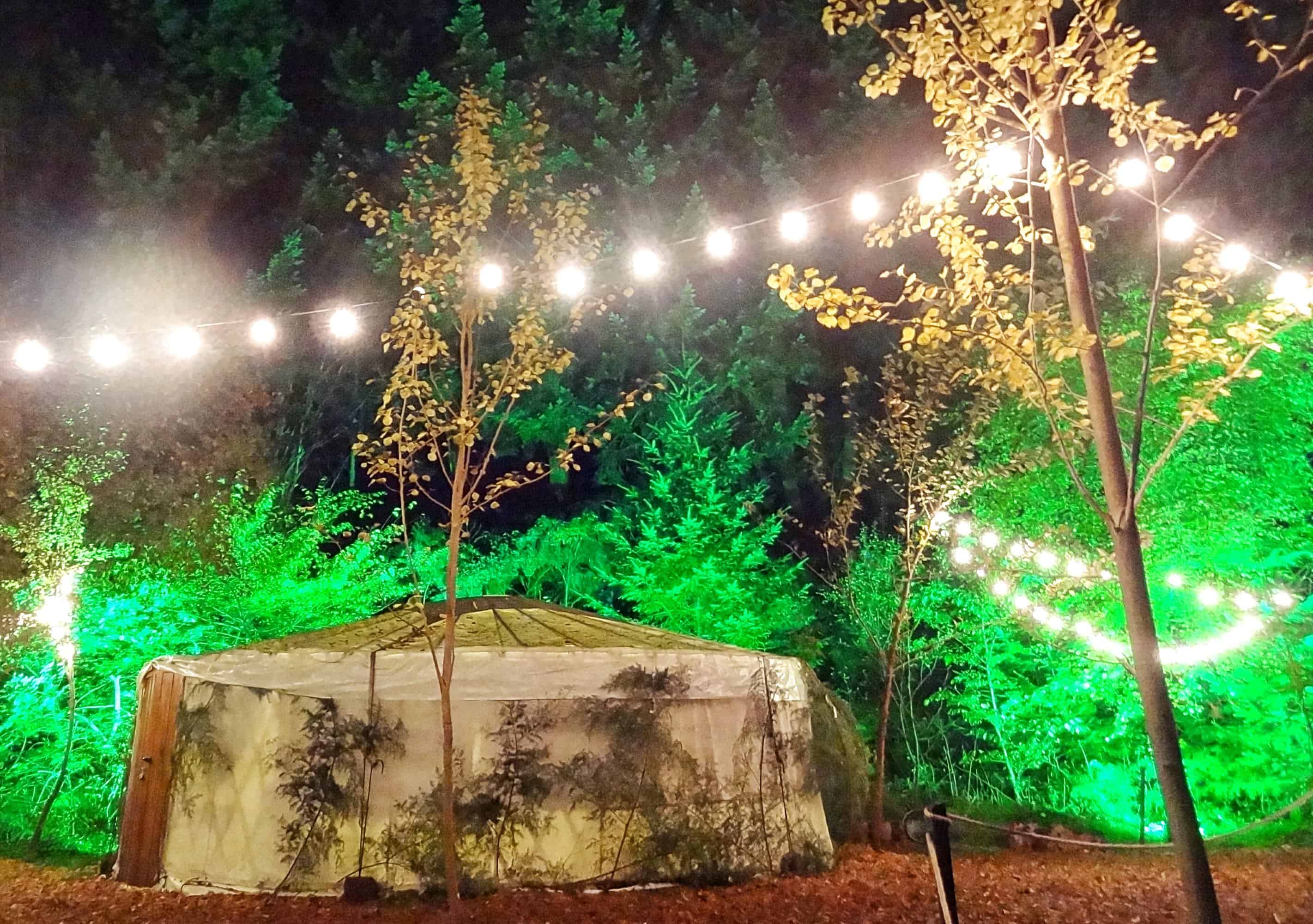 Enchanted Forrest Light Festival